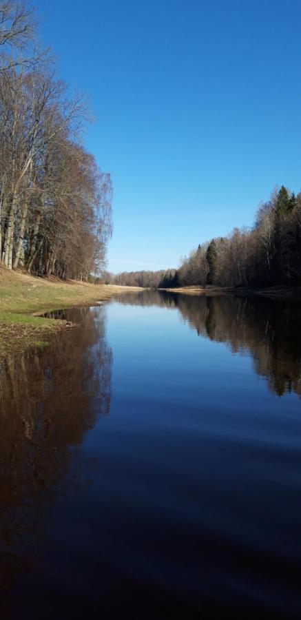 Ponka Guesthouse Jõesuu Екстериор снимка