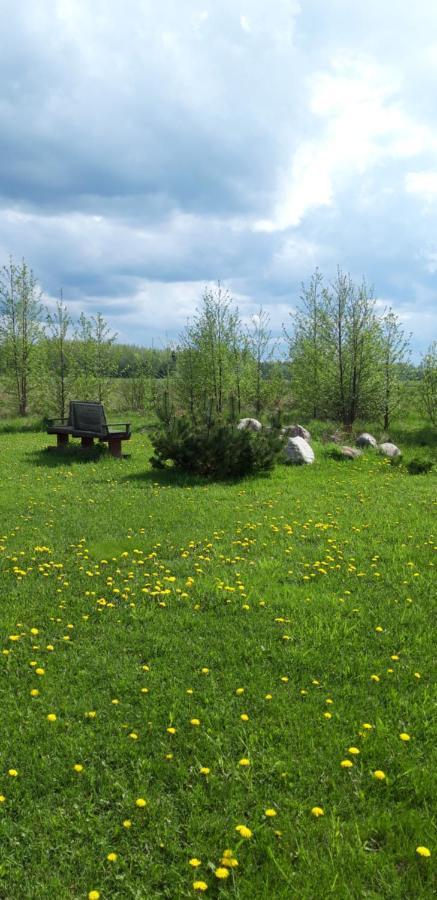 Ponka Guesthouse Jõesuu Екстериор снимка
